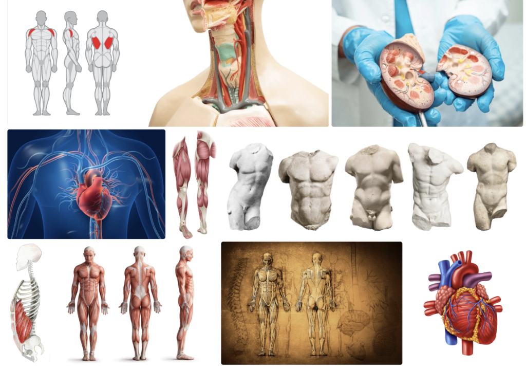 dae9c493 8f30 4c42 8949 4a8e36d2c410