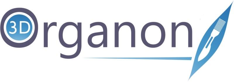 whatsapp image 2026 03 03 at 12.19.06 (1)